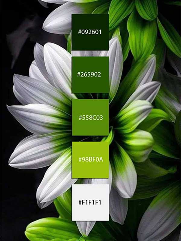 color-pallete